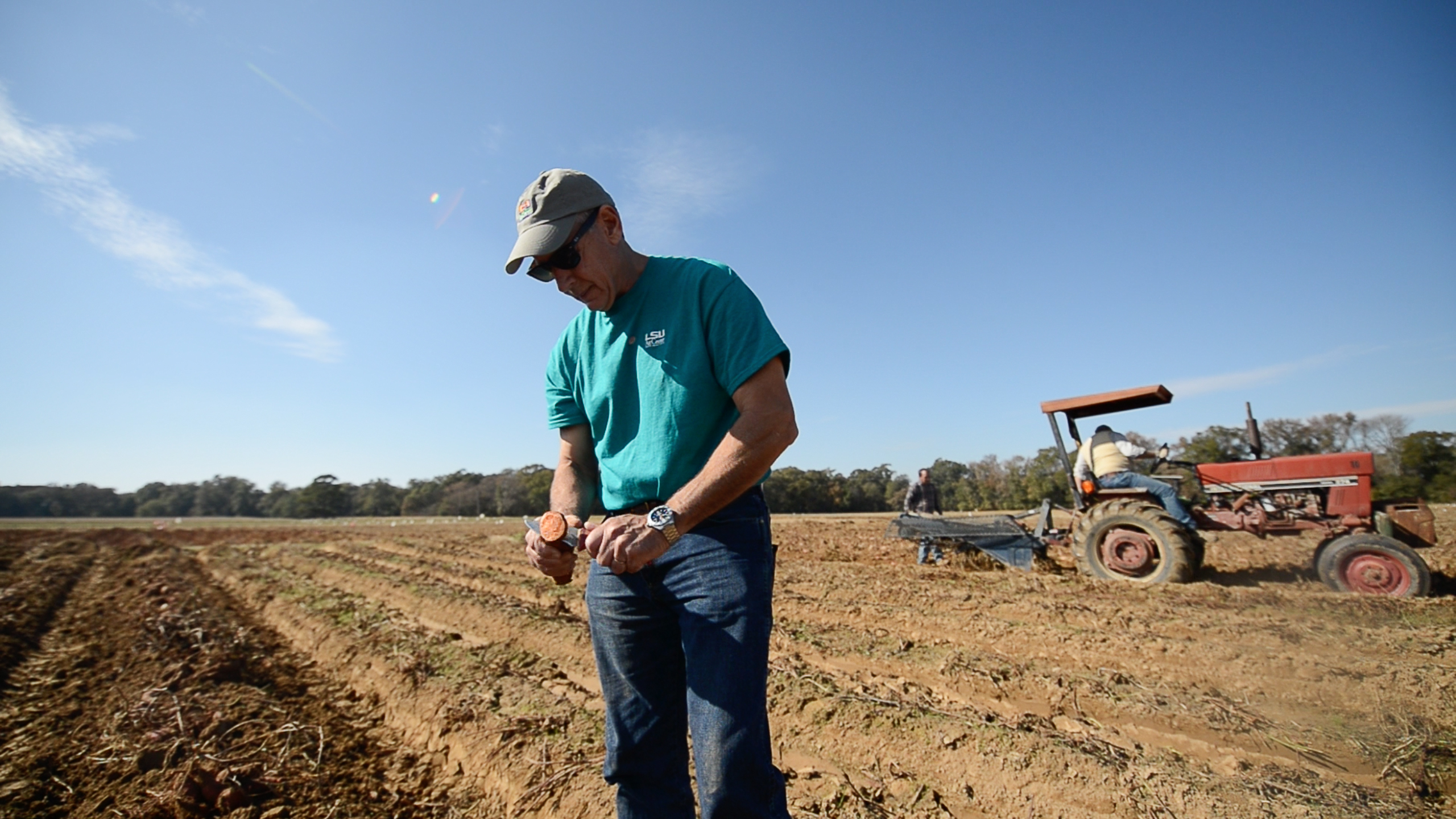 Don La Bonte: In search of the perfect sweet potato